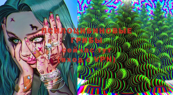 гашик Ладушкин