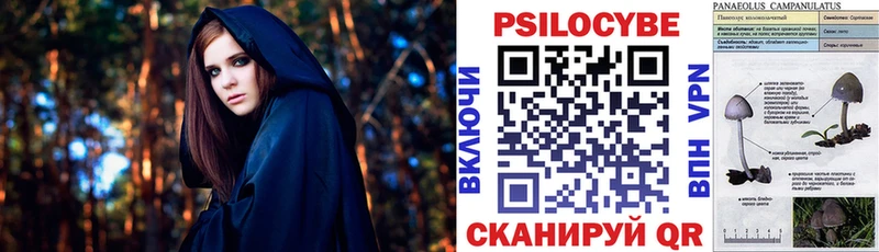 Купить закладки  Чита  Галлюциногенные грибы MAGIC MUSHROOMS 