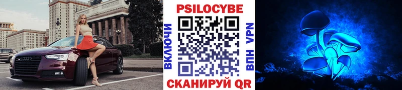 Псилоцибиновые грибы мицелий Чита